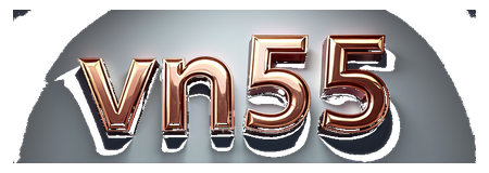 vn595 logo
